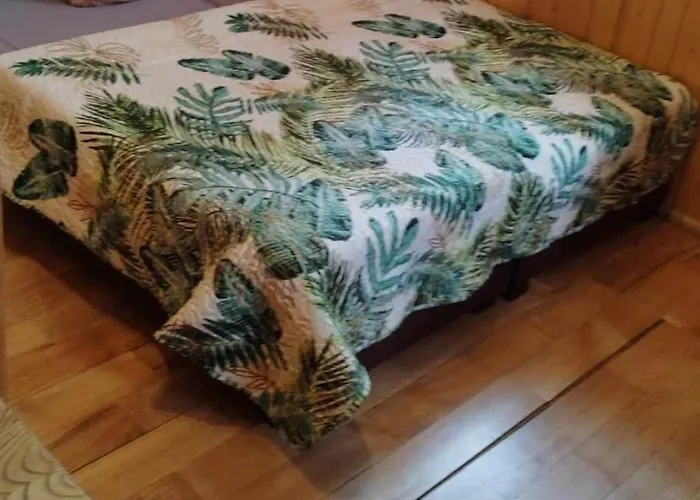 Osada Olenka Witow